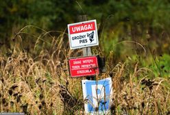 Atak psów pod Zieloną Górą. Miały być szkolone dla policji