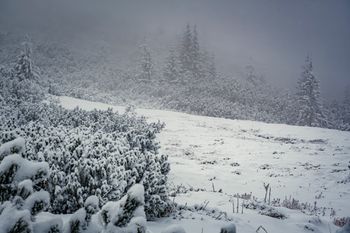 Ważny apel. Zamknęli cały park narodowy