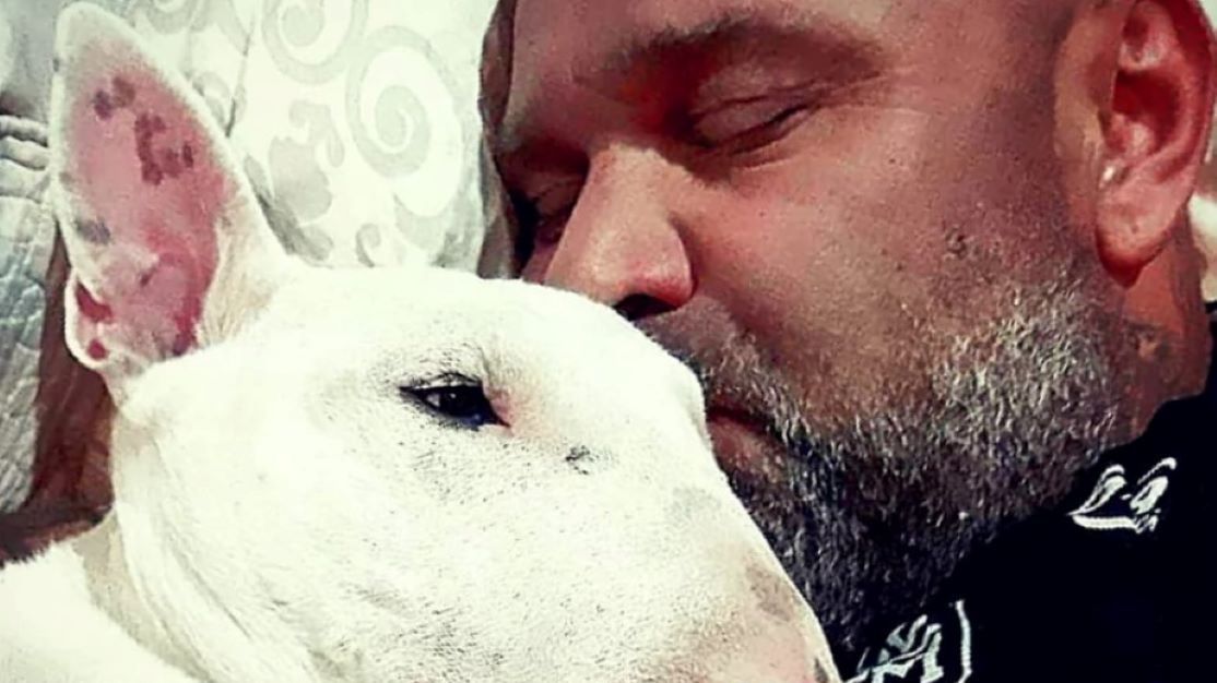 Pies "Walusia" szuka nowego domu 