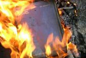 Niemieccy neonaziści spalili dziennik Anne Frank
