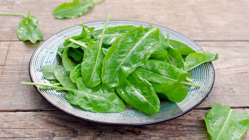 Gotowany szczaw bez dodatku soli, odsączony