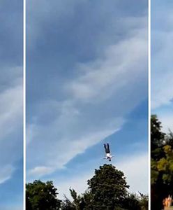 Gdynia. Wypadek na bungee. Instruktor usłyszał zarzuty