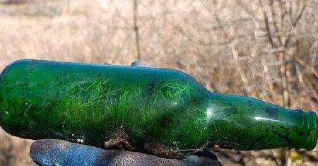 Mieszkańcy Lublina posprzątali Park Helenów – 20 worków śmieci, zapełniło się bardzo szybko. Ludzie nie szanują natury