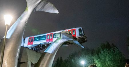Przedziwny wypadek. Pociąg metra zatrzymał się na… ogonie wieloryba