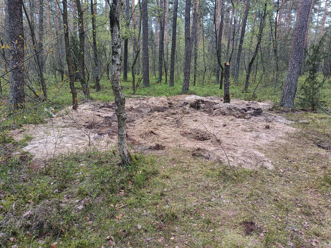 Pozostałości po obiekcie, który spadł w lesie pod Zamościem