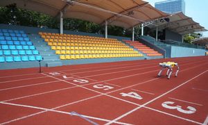 Chiński robot ustanawia rekord Guinnessa w biegu na 100 metrów