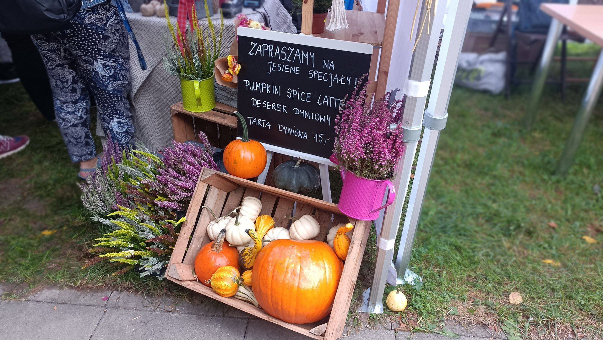 Krakowski Festiwal Zaklęte w Dyni w Nowej Hucie