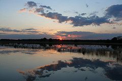 Flickr: subiektywny przegląd zdjęć tygodnia 08 2