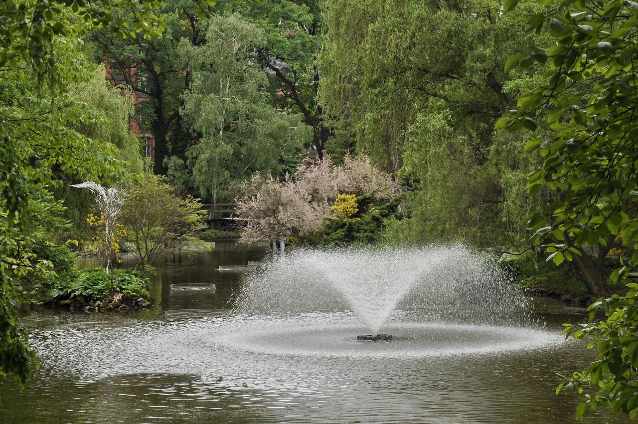 Ogród botaniczny we Wrocławiu 