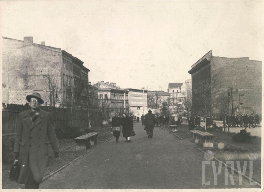 zdjęcie