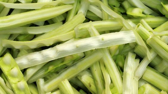 Gotowany strąki moringi olejodajnej bez dodatku soli, odsączone