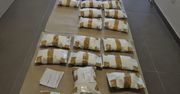 Koszalin: Młody diler ukrywał towar wart 2 miliony złotych. Policjanci przejęli 40 kilogramów mefedronu