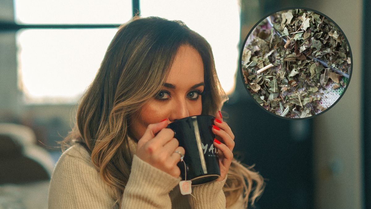 Napar o niezwykłych właściwościach przyrządzisz z liści popularnego letniego owocu