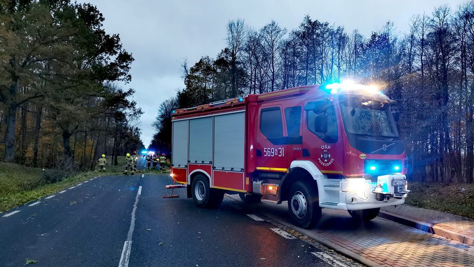 Karetka uderzyła w leżący na drodze konar