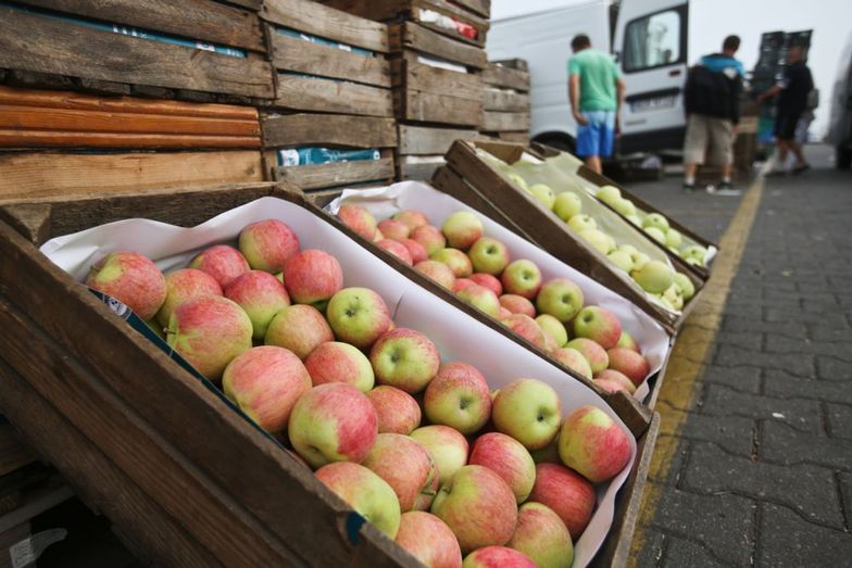 Wojna handlowa z Rosją. Polski eksport owoców najbardziej poszkodowany