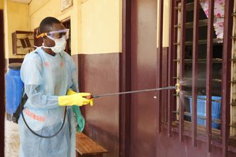 Raport WHO: Odnotowano 20 656 przypadków zakażenia ebolą