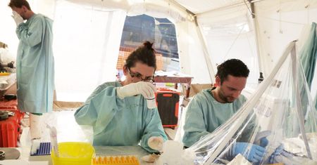 Ebola w Europie. To narzędzie ma pomóc