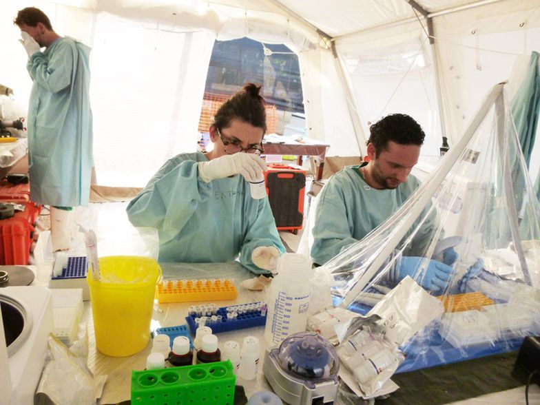 Francuzi wierzą, że stworzyli lek na ebolę