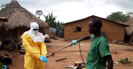 Epidemia eboli. Mali w Afryce Zachodniej krajem wolnym od tej choroby