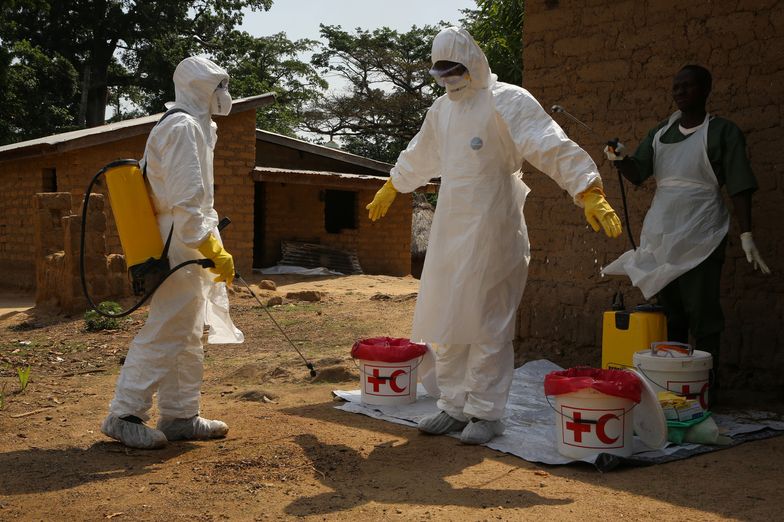 WHO: już co najmniej 2296 ofiar śmiertelnych eboli w zachodniej Afryce
