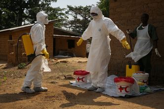 Wirus ebola. Kraje dotknięte epidemią dostaną 3,4 mld dolarów