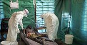 Epidemia eboli. "Trzeba sześciu miesięcy na opanowanie Eboli