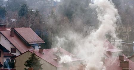 Ekolodzy mają dość. Wykażą, że ekogroszek to oszustwo. Chcą zabronić reklam i "eko" skojarzeń