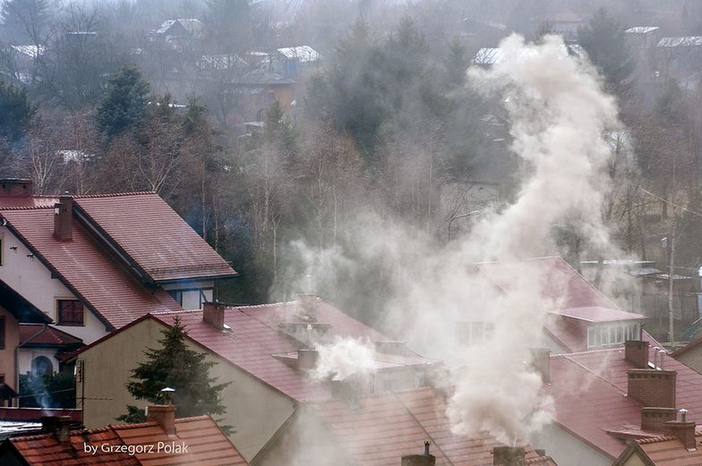 Ekolodzy mają dość. Wykażą, że ekogroszek to oszustwo. Chcą zabronić reklam i "eko" skojarzeń