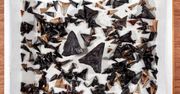 Znaleźli je na dnie oceanu. To zęby prehistorycznych rekinów