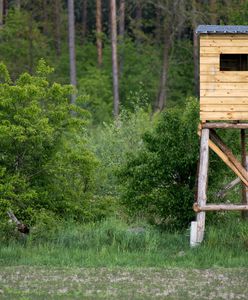 Wróg myśliwych schwytany. Możdżonek: Ktoś spadł z ambony