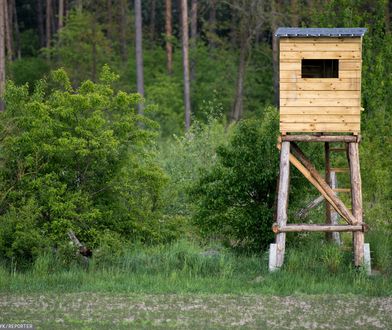 Wróg myśliwych schwytany. Możdżonek: Ktoś spadł z ambony