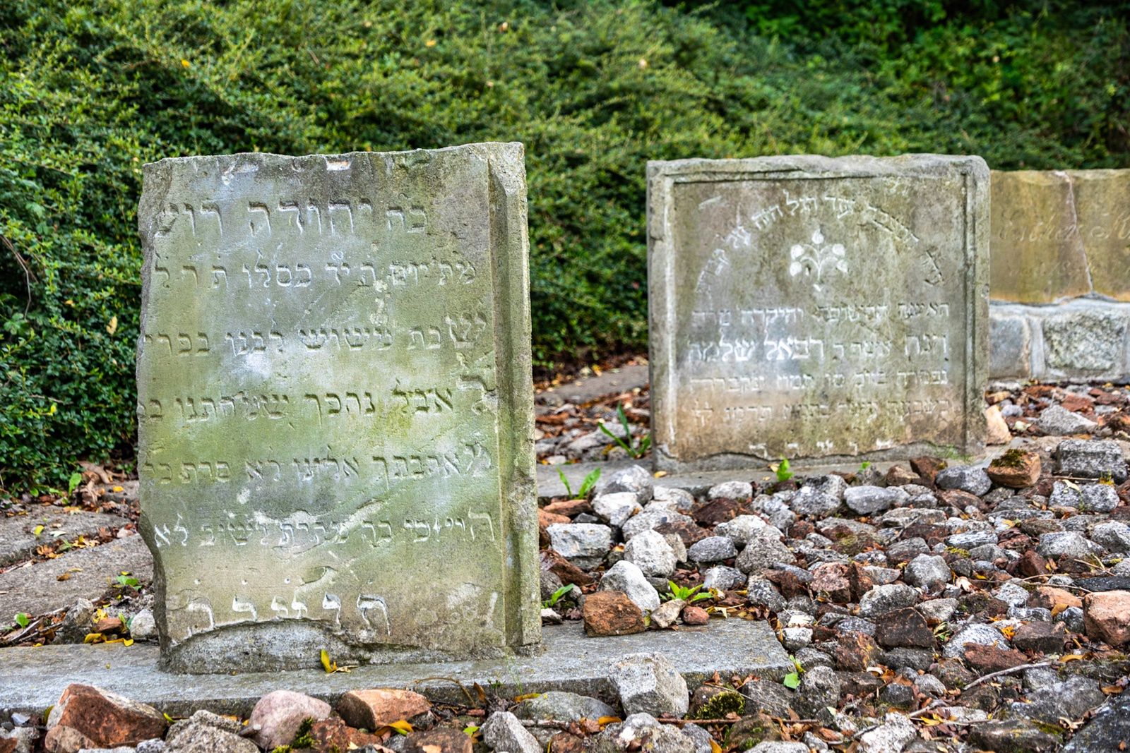 Żydowski cmentarz w Ryczywole