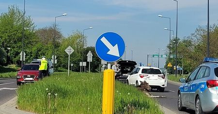 Nie żyje łoś potrącony przez samochód na ul. Węglarza. Zwierzę zostało uśpione