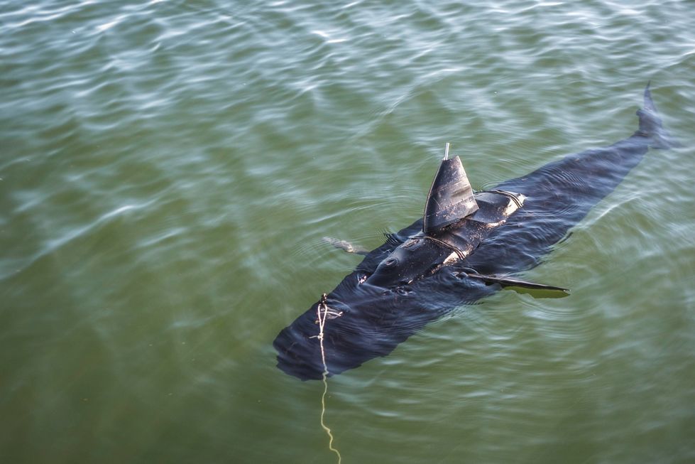 GhostSwimmer: najniebezpieczniejsza ryba świata. Podwodny dron w kształcie rekina