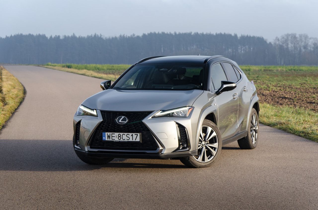 Lexus UX 300h AWD