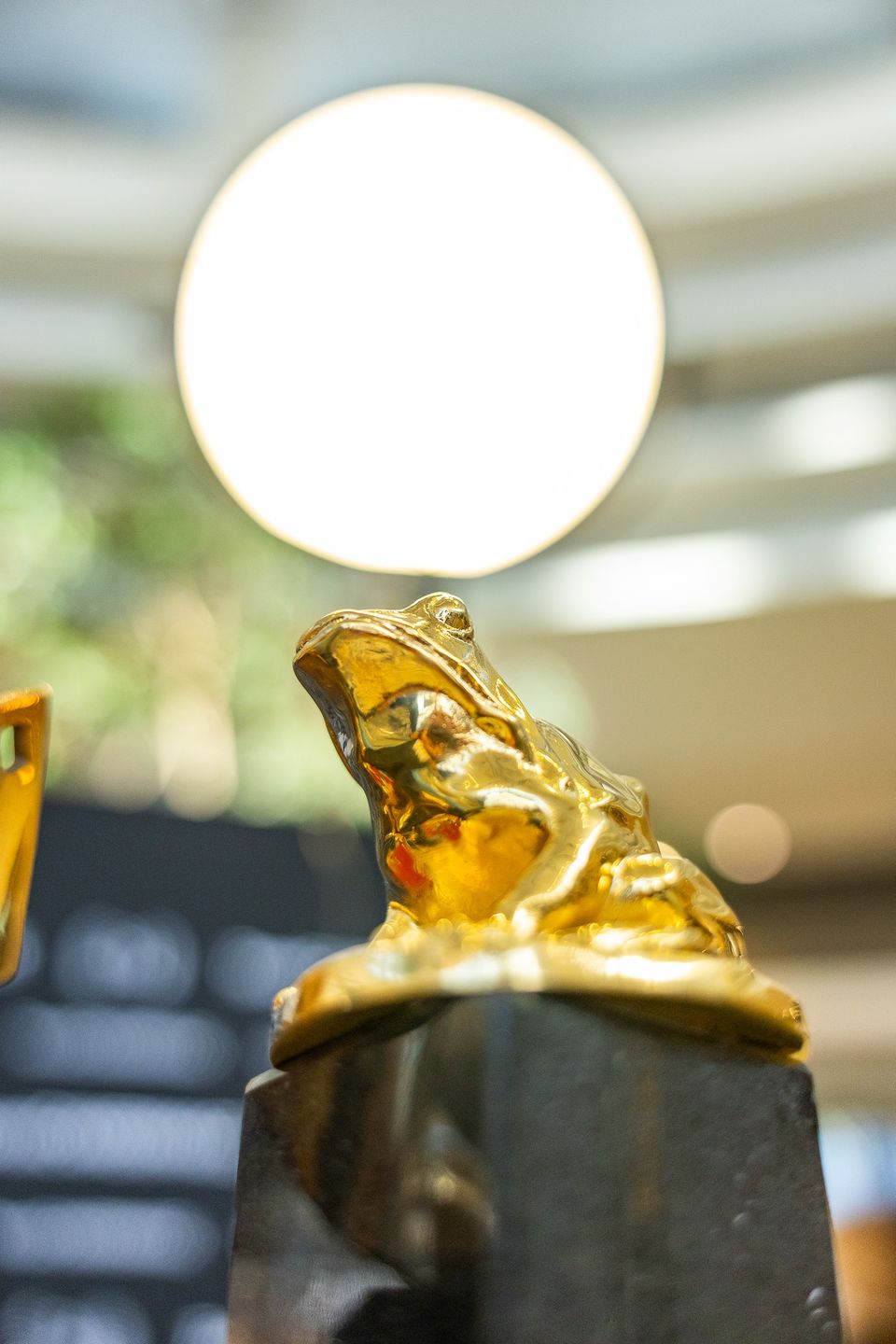  Metropolia Toruńska, ToruńCamerimage oraz Galeria Copernicus zapraszają do udziału w wyjątkowym konkursie, w którym do wygrania jest karnet na festiwal ToruńCamerimage