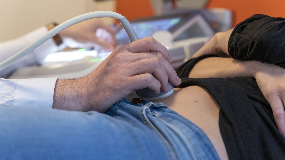 H. pyroli to zmora Polaków - nawet 60 proc. może być zakażonych