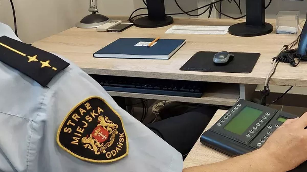 Kamery gdańskiego monitoringu miejskiego uchwycił