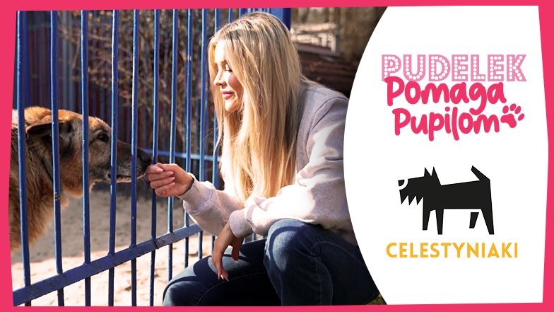 Pudelek Pomaga Pupilom