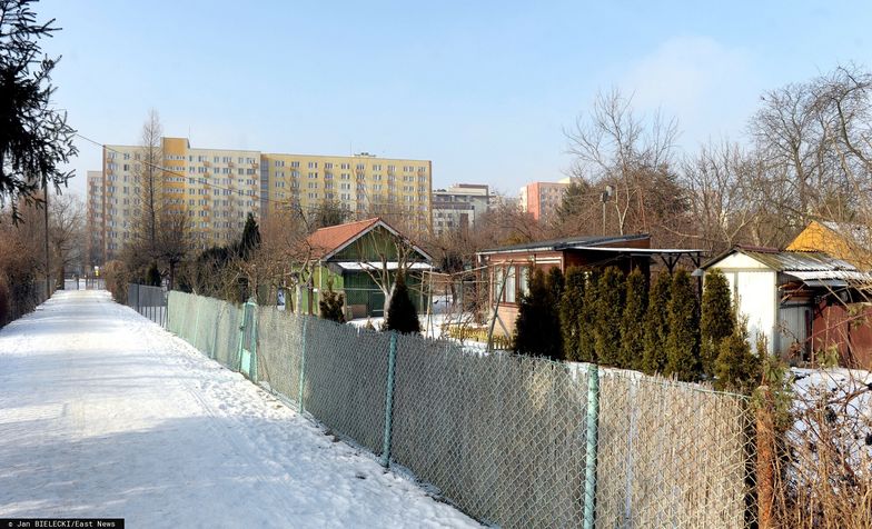 Rodzinne Ogródki Działkowe na Saskiej KępieFot. Jan Bielecki/East News, Warszawa 15.02.2017  Rodzinne Ogródki Działkowe na Saskiej KępieJAN BIELECKI
