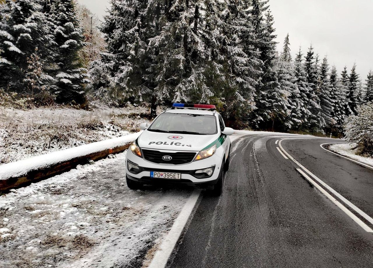 Nawet 1,7 tys. euro mandatu za telefon podczas jazdy. Na te wykroczenia uważaj, jadąc na ferie