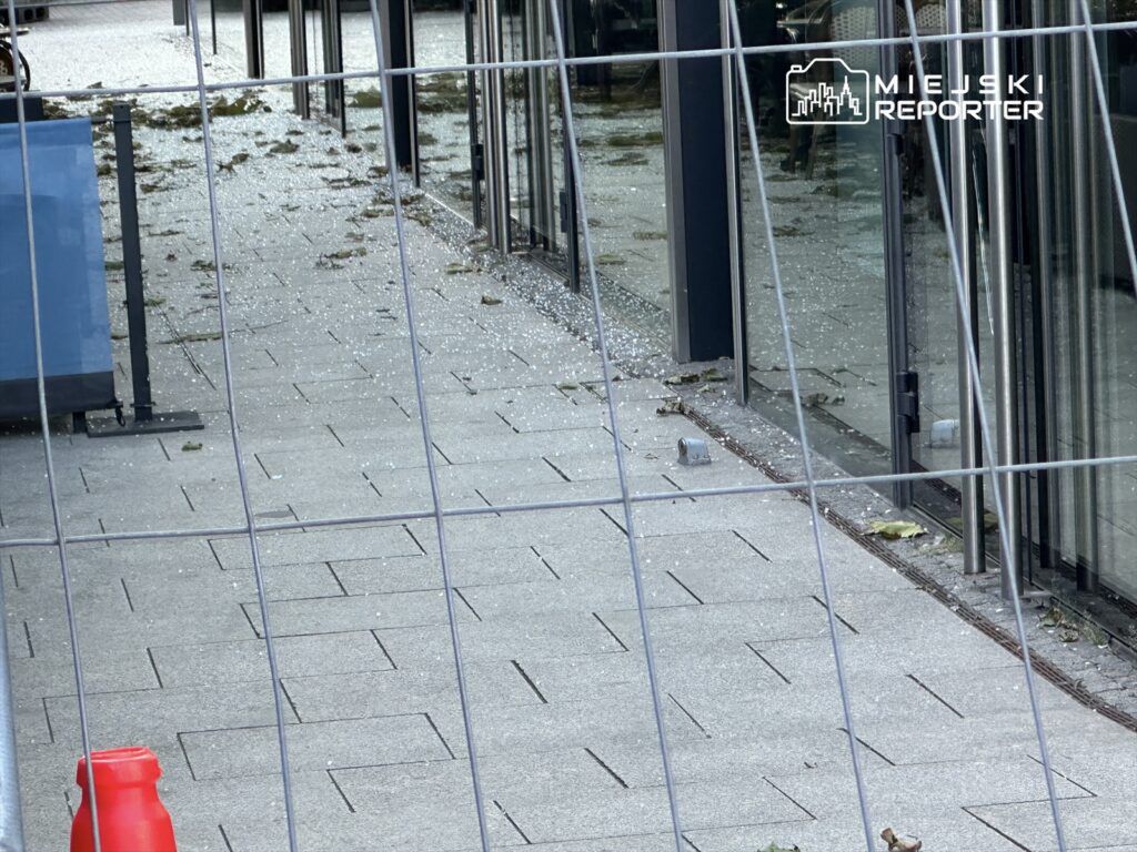 Zabrudzone chodniki w pobliżu przeszklonego budynku, pokryte liśćmi i drobnymi odłamkami szkła, ogrodzone metalową siatką.