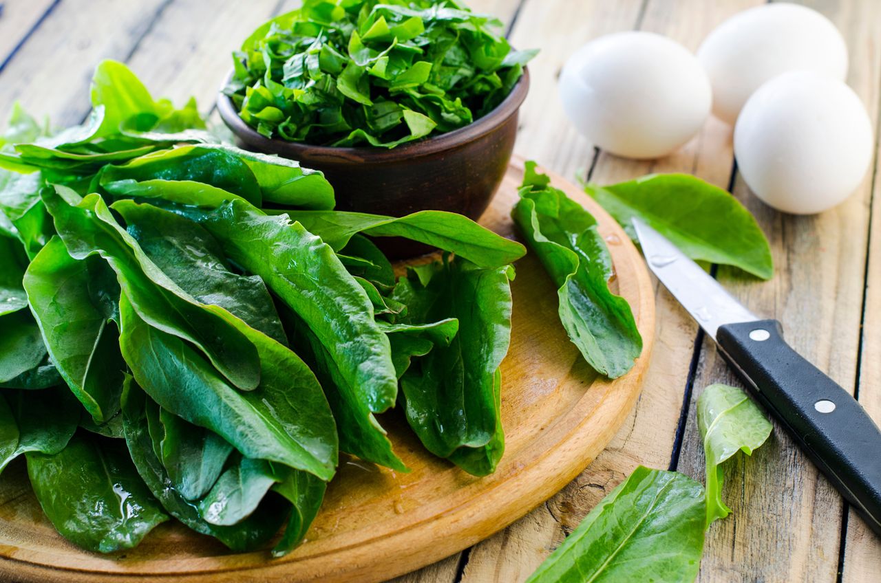 Sauerampfer: Vergessene Vitaminbombe mit Einschränkungen