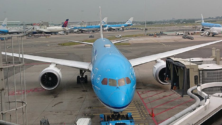 Polka zaatakowała załogę samolotu