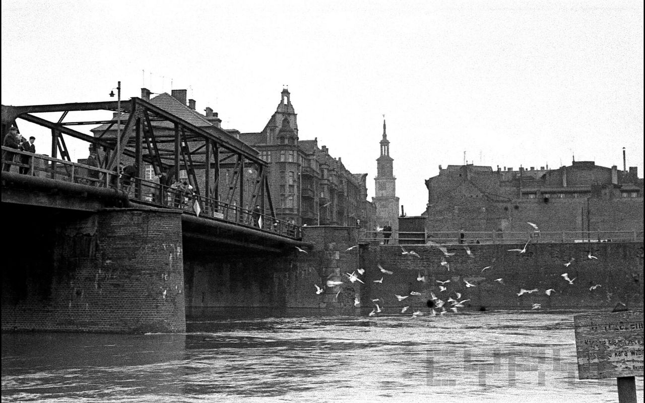 Jak wyglądał Poznań w 1952r.