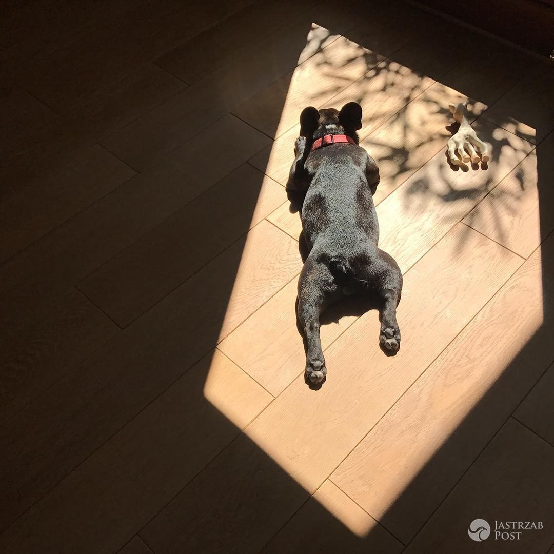 Maleństwo Oli Kwaśniewskiej