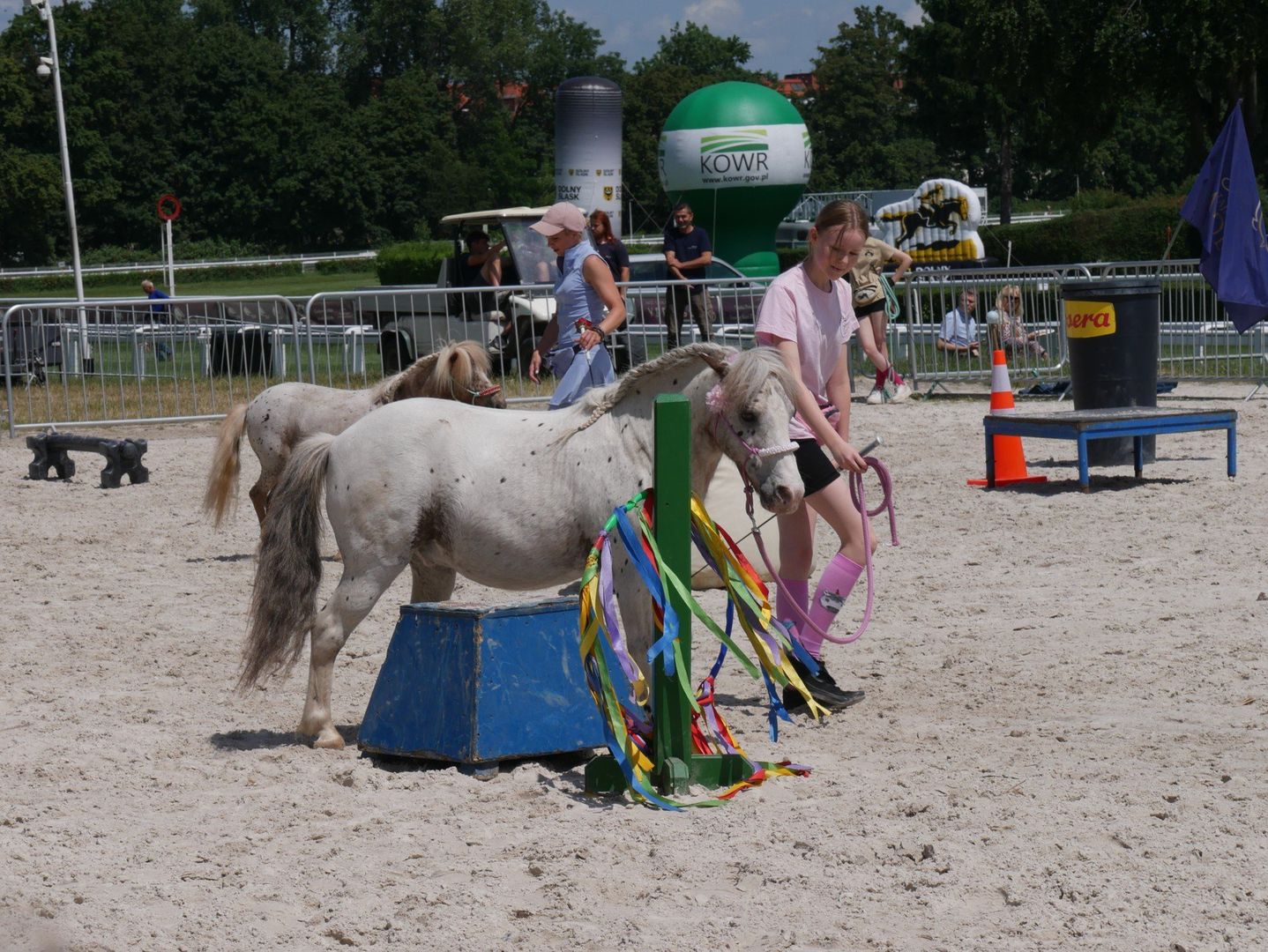 Tłumy na Family Day na Partynicach! Emocje na torze, pokaz horse agility i strefy zabawy dla dzieci