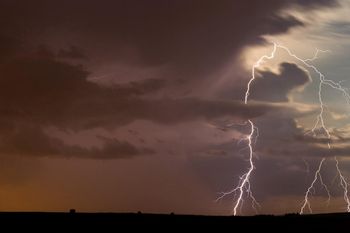 Nawałnice w Katowicach. Połamane drzewa, zatarasowane alejki. „To była ciężka noc dla strażaków”