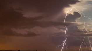 Nawałnice w Katowicach. Połamane drzewa, zatarasowane alejki. „To była ciężka noc dla strażaków”