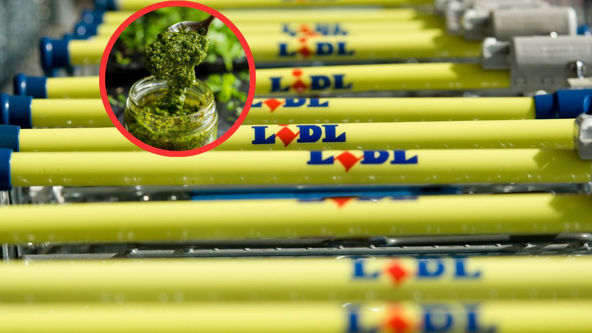 Lidl informuje o wycofaniu produktu